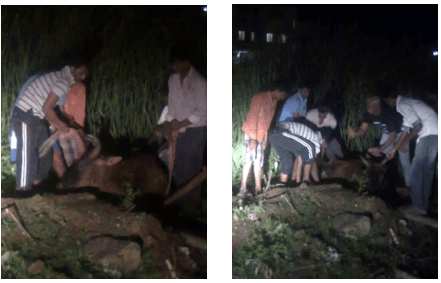 Rescue Operation at Pallikaranai.  18-Aug-2013