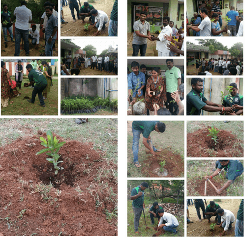 GO GREEN PROJECT (400 TREES PLANTED IN SONALUR VILLAGE)